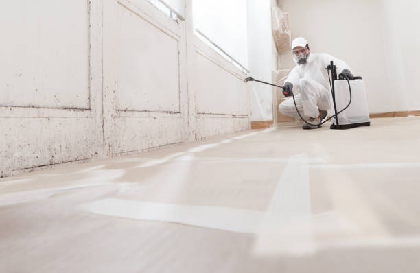 24/7 Emergency Attic Mold Removal experts in Canyon Lake, TX